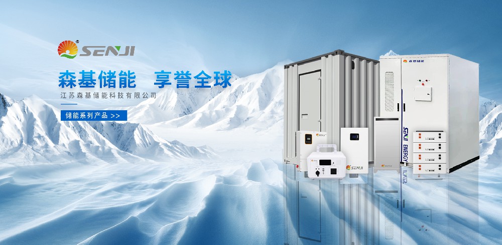 实力认可！ 森基储能入围2024中国储能行业先锋“储能行业企业贡献奖”！